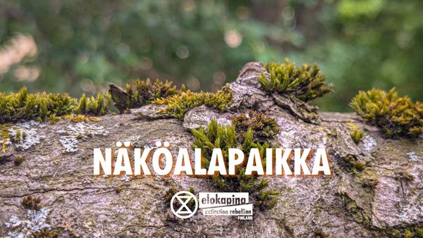 Näköalapaikka